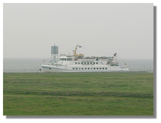 Die -Flipper- aus Cuxhaven